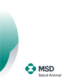 MSD Mexico