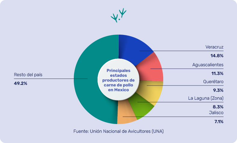 Avicultura mexicana: Conoce su importancia para el país - Avicultura MSD