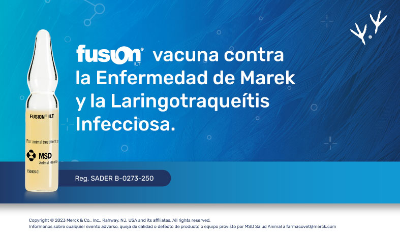 Fusion® ILT, vacuna contra la Enfermedad de Marek y la Laringotraqueítis Infecciosa.