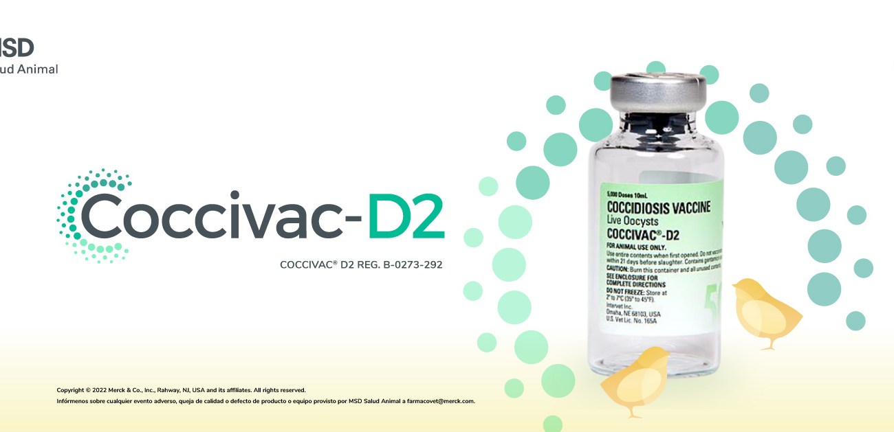 Coccivac®-D2, la vacuna contra 6 especies de coccidias