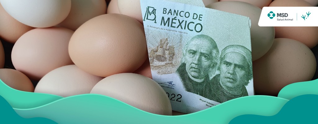 Producción de huevo en México