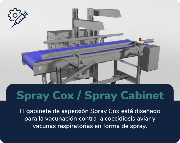 Spray Cox / Spray Cabinet