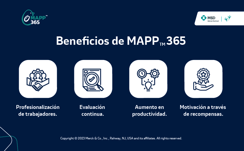 Beneficios de MAPPTM 365