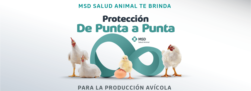 Soluciones integrales para una mejor producción avícola