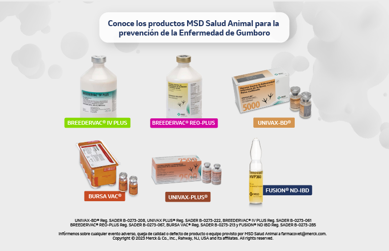 Productos MSD para la prevención de la enfermedad de gumboro